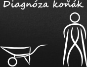 Dámské tričko - diagnóza koňák 